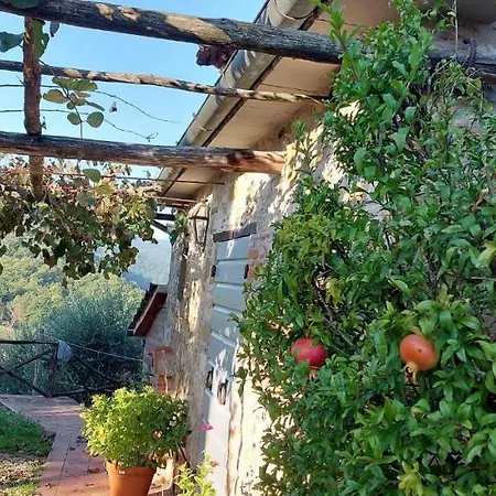 Agriturismo La Scarpaia
