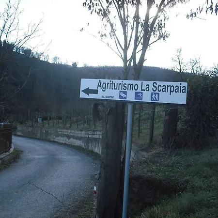 Agriturismo La Scarpaia Bauernhof