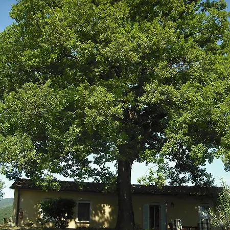 Bauernhof Agriturismo La Scarpaia *