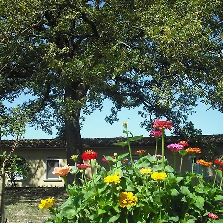 Alloggio per agriturismo Agriturismo La Scarpaia Anghiari