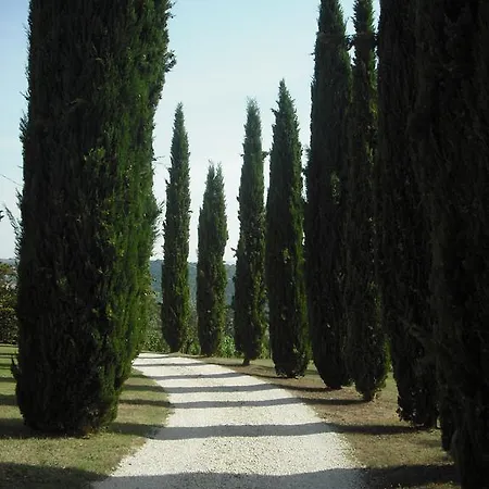 La Scarpaia * Anghiari