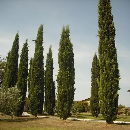 Agriturismo La Scarpaia * Anghiari