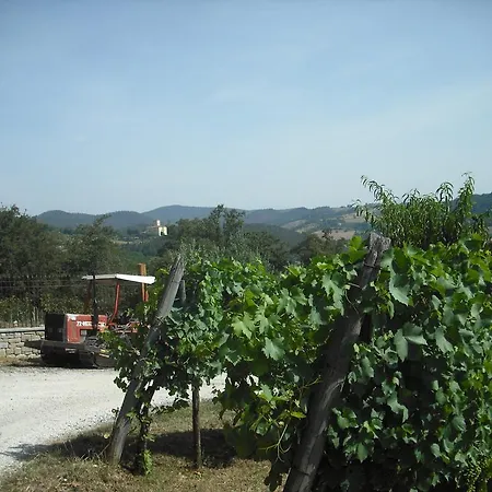 Farm stay Agriturismo La Scarpaia