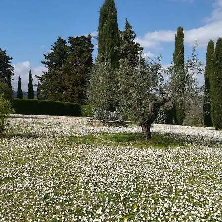 Agriturismo La Scarpaia Farm stay