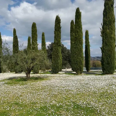 Agriturismo La Scarpaia Farm stay *