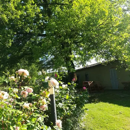Agriturismo La Scarpaia * Anghiari